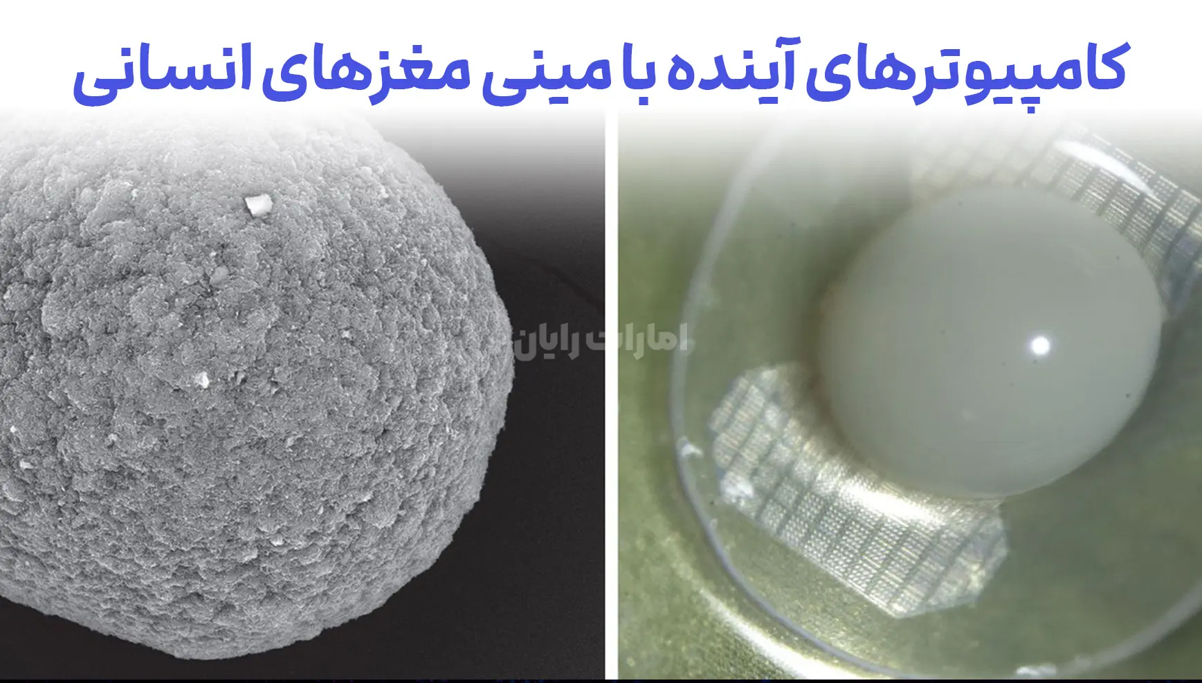 کامپیوترهای آینده با مینی مغزهای انسانی: پردازش سریع و تعامل مستقیم